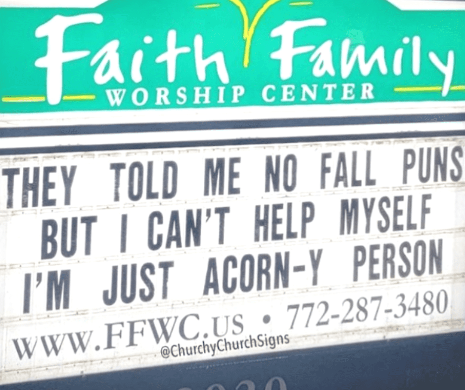 they told me no fall puns, but I can't help myself. I'm just acorn-y person.