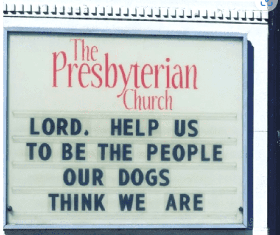 Lord, help us to be the people our dogs think we are